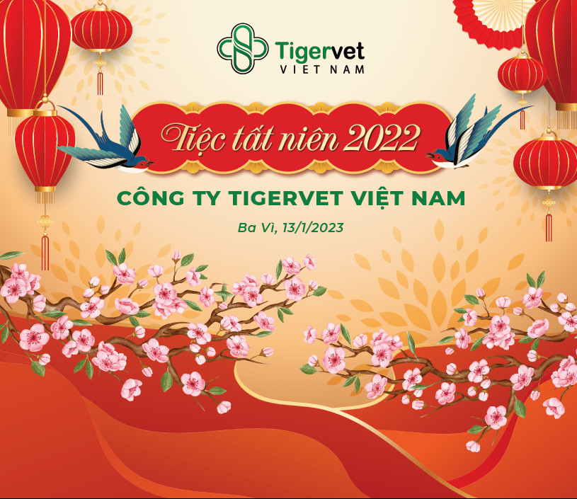 Tigervet Việt Nam tổ chức Tiệc tất niên 2022 và Kỷ niệm 10 năm thành lập công ty