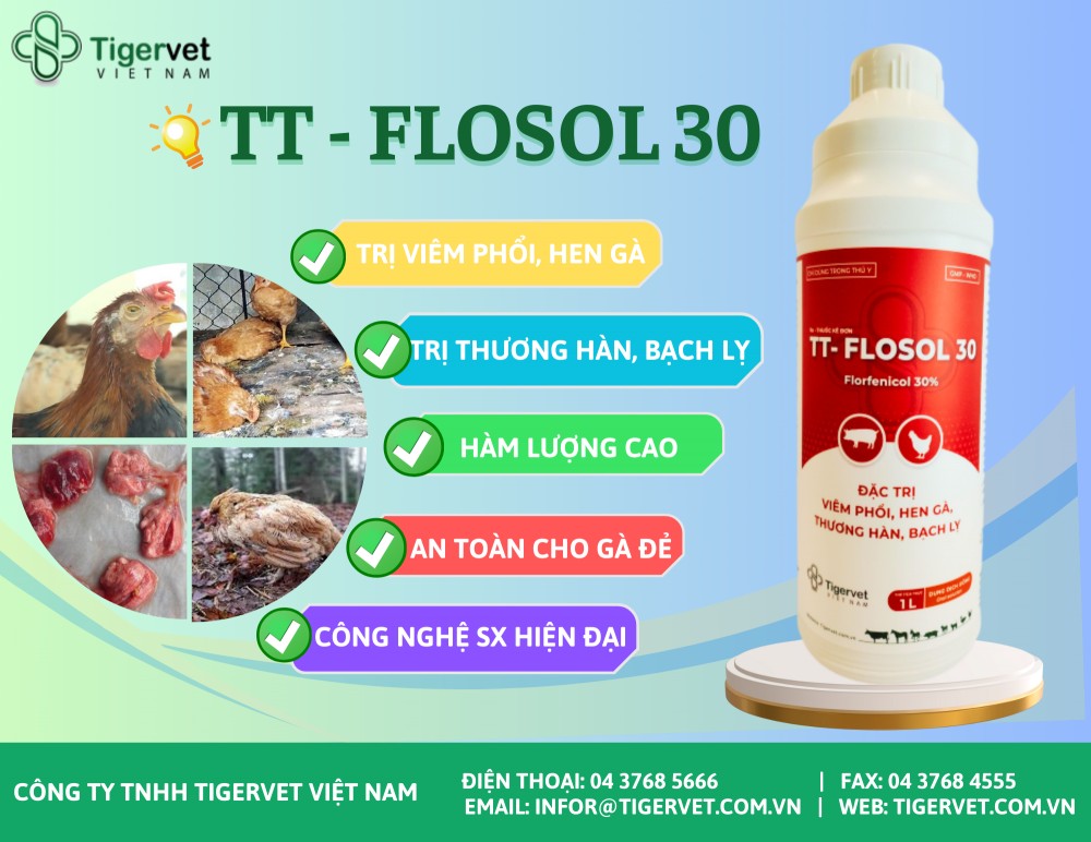 TT- FLOSOL 30