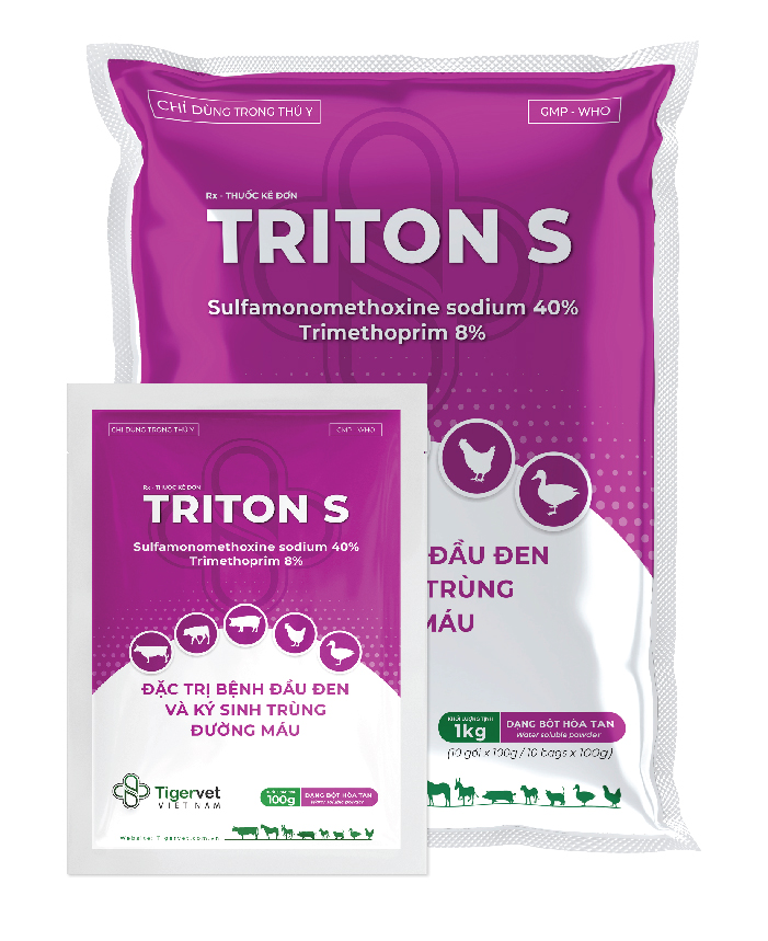 TRITON S